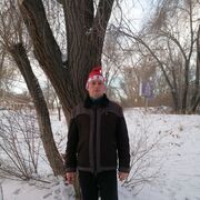 ���������� ����, ���� ������� ������, 43 ����, ������������ ��� ������, ����� � ���������, c�������� ���������, ���������