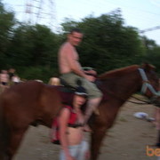  ,   , 48 ,   
