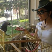  Mimarsinan,  Adia, 37