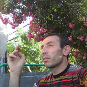  ,   HOVIK, 50 ,   ,   , c 