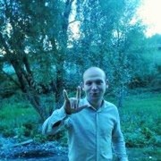  ,   Alekce, 40 ,   