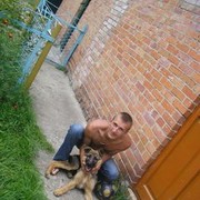  ,  DIMON, 31