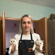 ���������� ������, ���� ����� ������, 23 ����, ������������ ��� ������, ����� � ���������, c�������� ���������