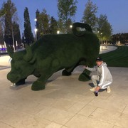 ���������� �����, ���� ������� ����, 44 ����, ������������ ��� ������, ����� � ���������, c�������� ���������