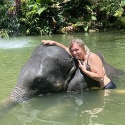 ���������� ������������, ���� ������� �������, 50 ���, ������������ ��� ����� � ���������, c�������� ���������