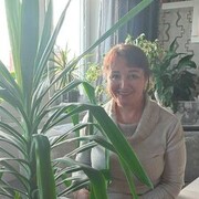  ,   , 53 ,   c 
