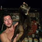 ���������� ���������, ���� ������� ������, 35 ���, ������������ ��� ������, ����� � ���������, c�������� ���������