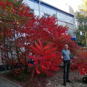 ���������� ��������, ���� ������� ����, 40 ���, ������������ ��� ������, ����� � ���������, c�������� ���������