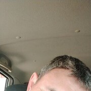  ,   , 50 ,   ,   