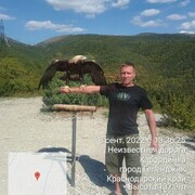 ���������� �������, ���� ������� �����, 44 ����, ������������ ��� c�������� ���������