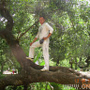  ,   Dmitrij, 44 ,   ,   , c , 