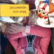 ���������� �����, ���� ������� ����, 36 ���, ������������ ��� ������, ����� � ���������, c�������� ���������