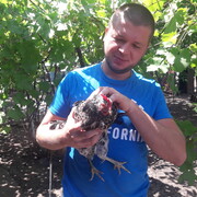 ���������� ��������������, ���� ������� ������, 39 ���, ������������ ��� ������, ����� � ���������, c�������� ���������