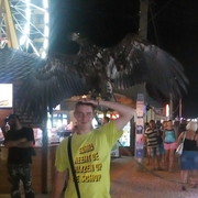 ���������� ��������, ���� ������� �����, 31 ���, ������������ ��� ������, ����� � ���������, c�������� ���������