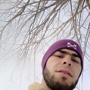  ,   Tigr, 25 ,   ,   