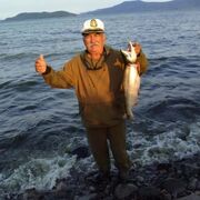 ���������� ����������, ���� ������� �������, 67 ���, ������������ ��� ������, ����� � ���������