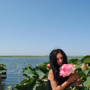 ���������� ������, ���� ������� ������, 44 ����, ������������ ��� ������, ����� � ���������, c�������� ���������