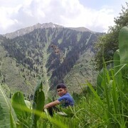 ���������� ������, ���� ������� �����, 34 ����, ������������ ��� ������, ����� � ���������, c�������� ���������