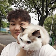  Qingdao,   , 28 ,   ,   , c 