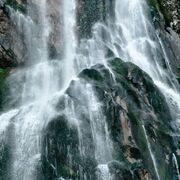 ���������� ������ ��������, ���� ������� �������, 39 ���, ������������ ��� ����� � ���������, c�������� ���������, ���������