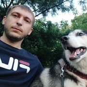 ���������� �����������, ���� ������� �������, 29 ���, ������������ ��� c�������� ���������