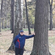 ���������� ���������, ������� ����, 39