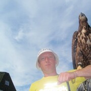 ���������� ������, ���� ������� ������, 40 ���, ������������ ��� ������, ����� � ���������, c�������� ���������