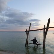 ���������� �����������, ���� ������� ������, 40 ���, ������������ ��� ������, ����� � ���������, c�������� ���������, ���������