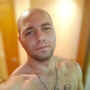  ,  Tiger, 29