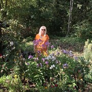 ����� �������