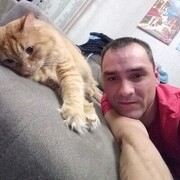 ���������� ����������, ���� ������� ������, 43 ����, ������������ ��� ����� � ���������, c�������� ���������