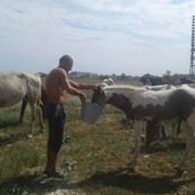 ���������� ��������, ���� ������� ������, 46 ���, ������������ ��� ������, ����� � ���������, c�������� ���������