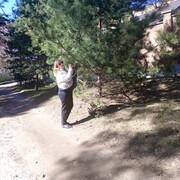 ���������� �������, ���� ������� �������, 44 ����, ������������ ��� ������, ����� � ���������, c�������� ���������