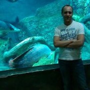 ���������� ������, ���� ������� ����, 40 ���, ������������ ��� ������, ����� � ���������, c�������� ���������