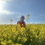  ,   , 62 ,   ,   , c , 