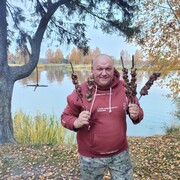 ���������� ����������, ������� ���������, 46