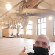 ���������� ���������, ���� ������� ����, 43 ����, ������������ 