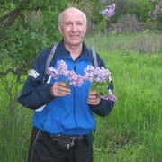 ���������� ������, ���� ������� ��������, 65 ���, ������������ ��� ������, ����� � ���������, c�������� ���������