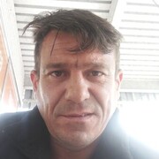  ,   Sova, 44 ,   