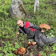 ���������� ������� �����, ���� ������� �������, 36 ���, ������������ ��� ������, ����� � ���������, c�������� ���������, ���������