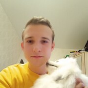  ,   German, 26 ,   ,   