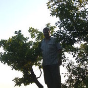  ,   , 48 ,   