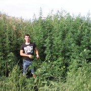 ���������� ��������, ���� ������� ������, 27 ���, ������������ ��� ������, ����� � ���������, c�������� ���������