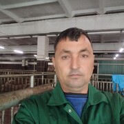 ,   , 44 ,   ,   