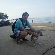 ���������� ����, ���� ������� ����, 36 ���, ������������ ��� ������, ����� � ���������, c�������� ���������