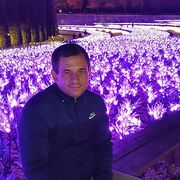 ���������� ���������, ���� ������� �������, 44 ����, ������������ ��� ������, ����� � ���������, c�������� ���������