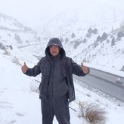 ���������� ������, ���� ������� Nematillo, 38 ���, ������������ ��� ������, ����� � ���������