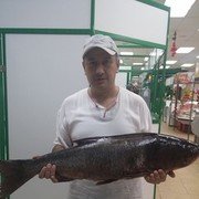 ���������� ������, ���� ������� Alex, 46 ���, ������������ ��� ������, ����� � ���������, c�������� ���������