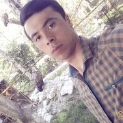  ,   DaLeR, 31 ,     , c , 