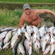 ���������� ������, ���� ������� ������, 51 ���, ������������ ��� ������, ����� � ���������